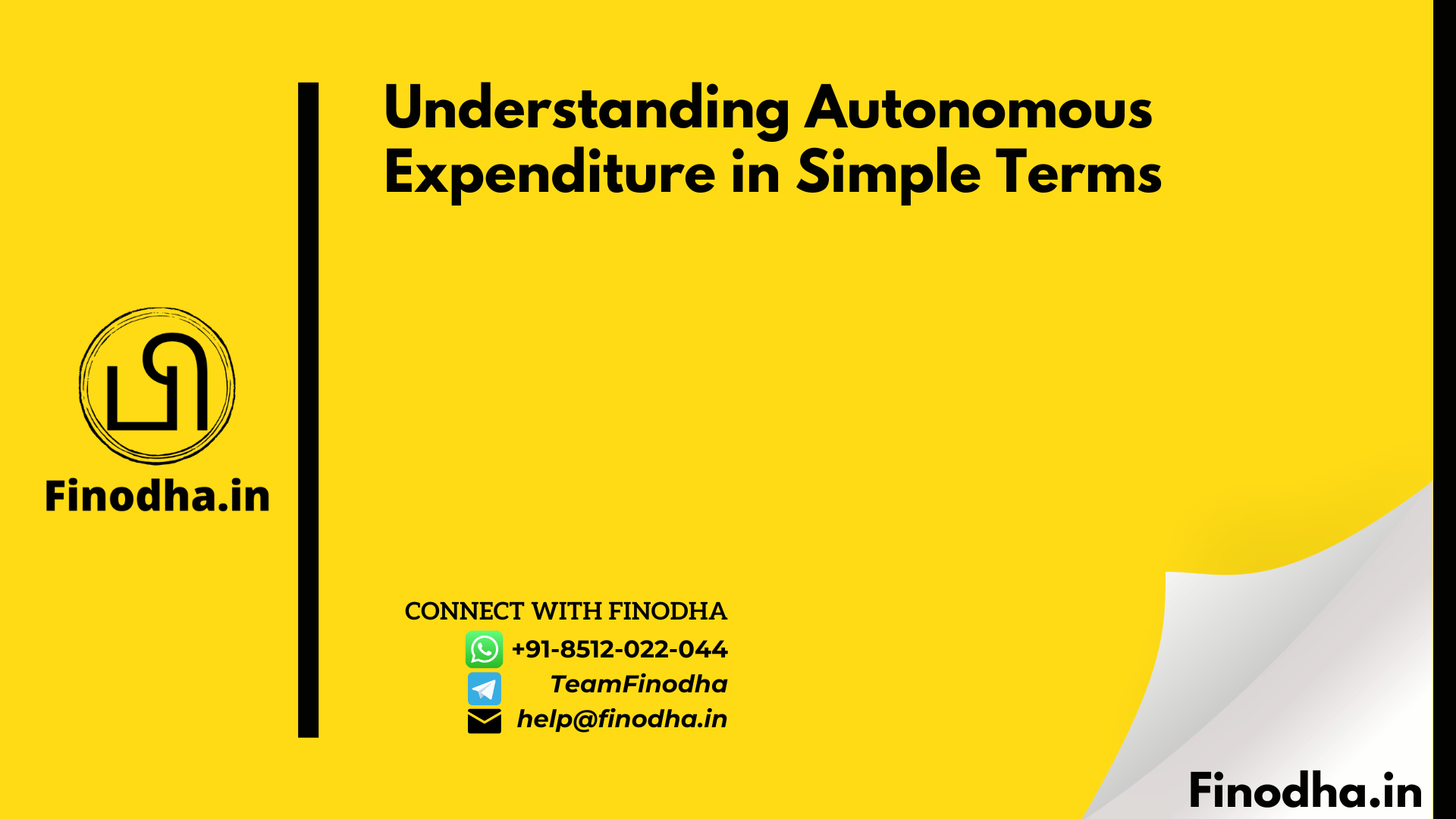 Understanding Autonomous Expenditure in Simple Terms