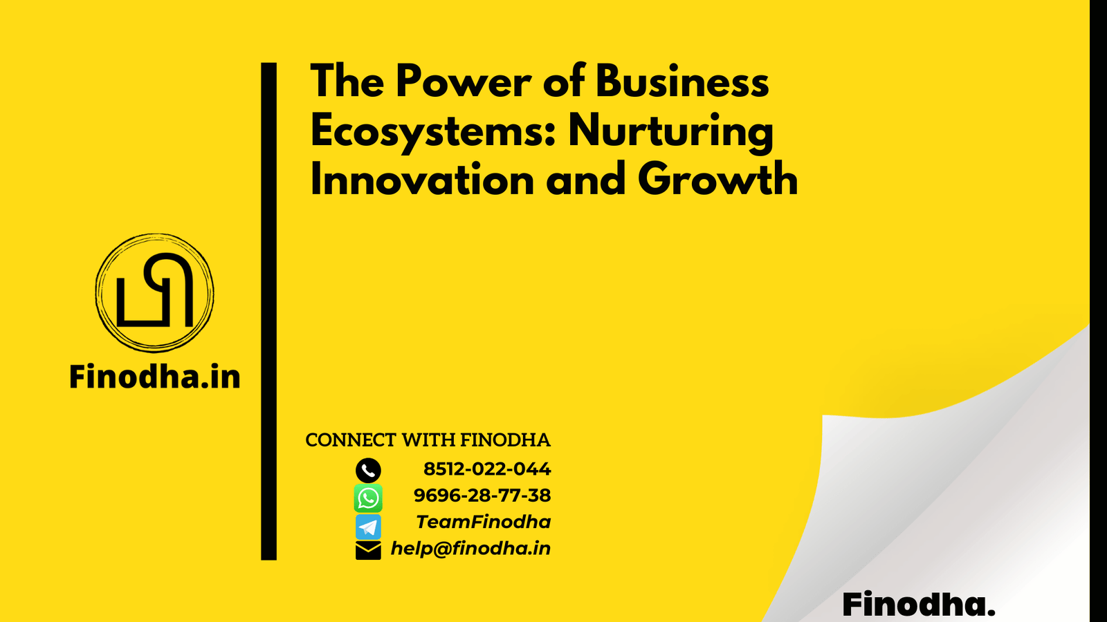 The Power of Business Ecosystems Nurturing Innovation and Growth