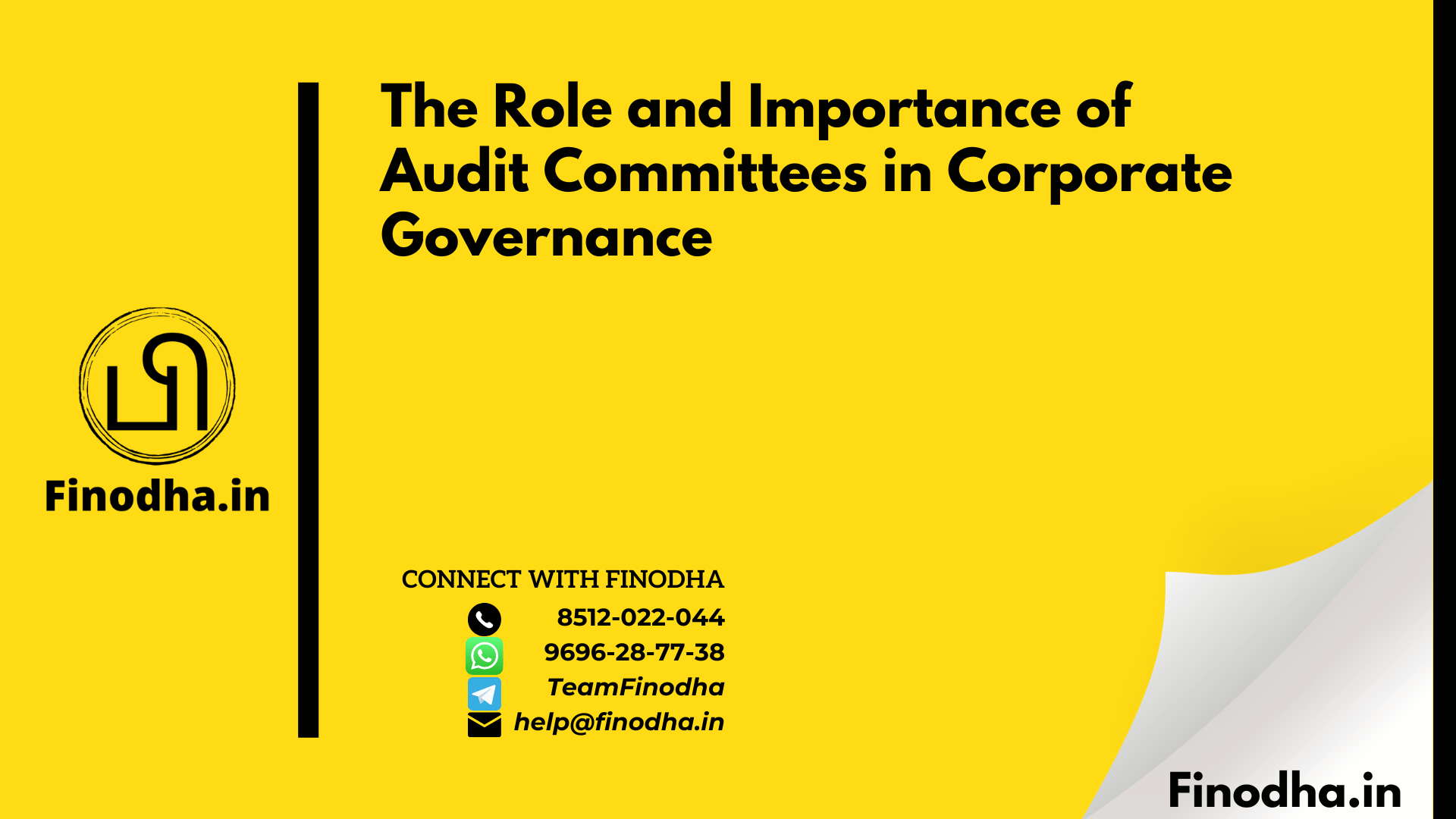 The Role and Importance of Audit Committees in Corporate Governance