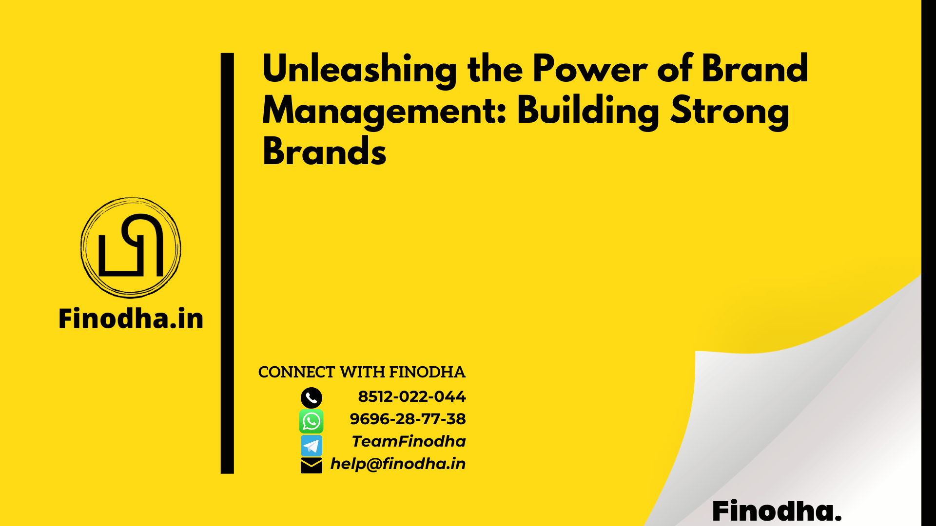 Unleashing the Power of Brand Management Building Strong Brands