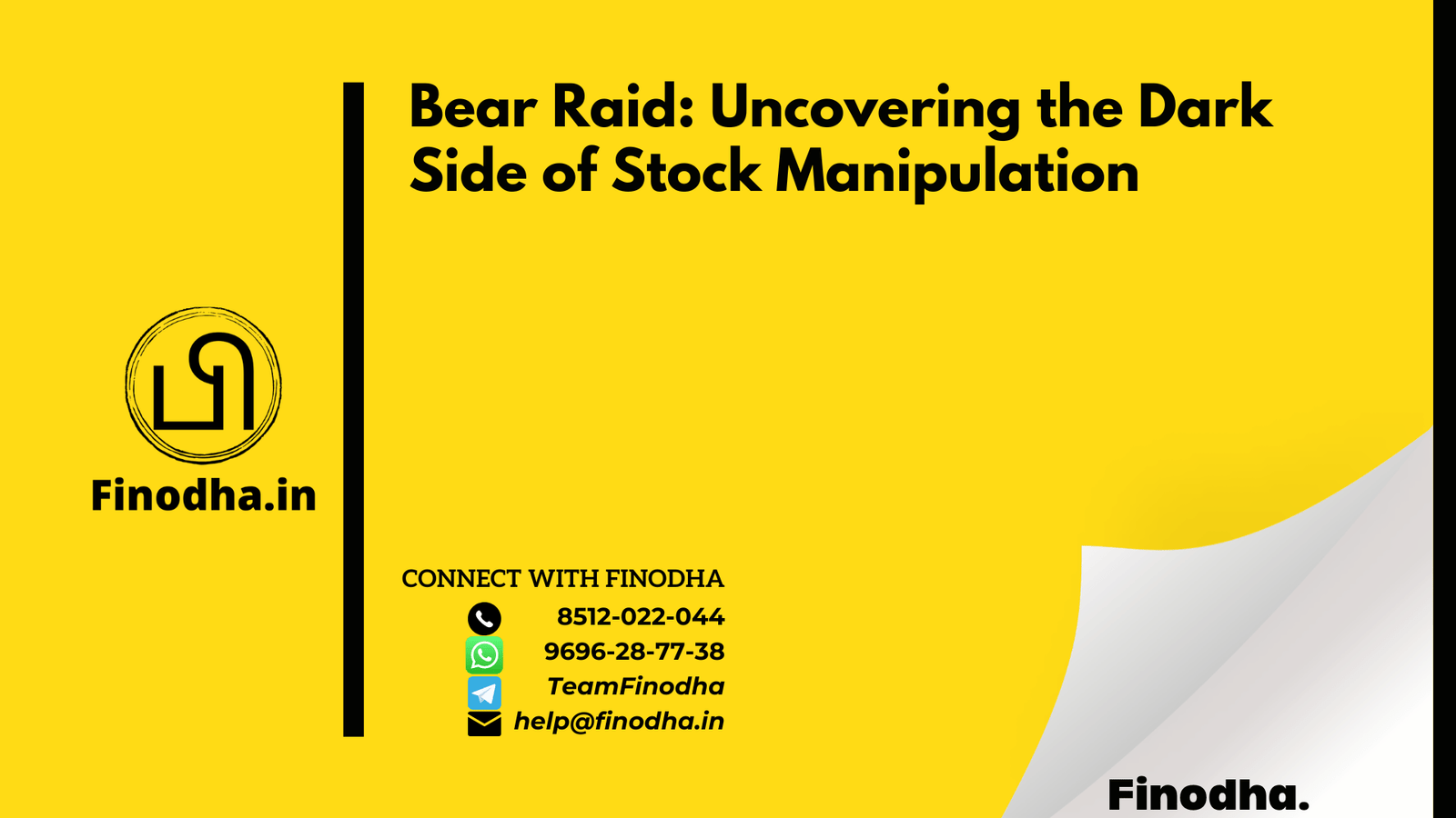 Bear Raid Uncovering the Dark Side of Stock Manipulation